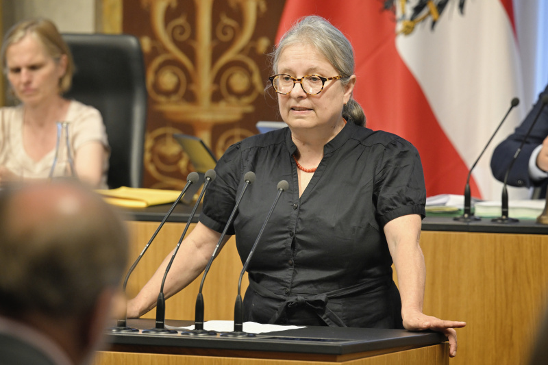 Am Redner:innenpult: Bundesrätin Bettina Lancaster (SPÖ)