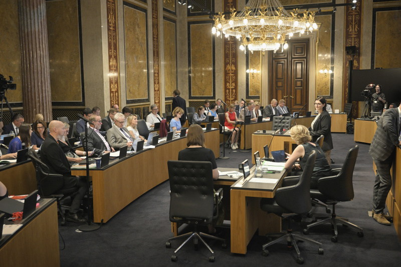 Am Redner:innenpult: Bundesrätin Manuela-Anna Sumah-Vospernik (NEOS). Blick Richtung Sitzungsteilnehmer:innen