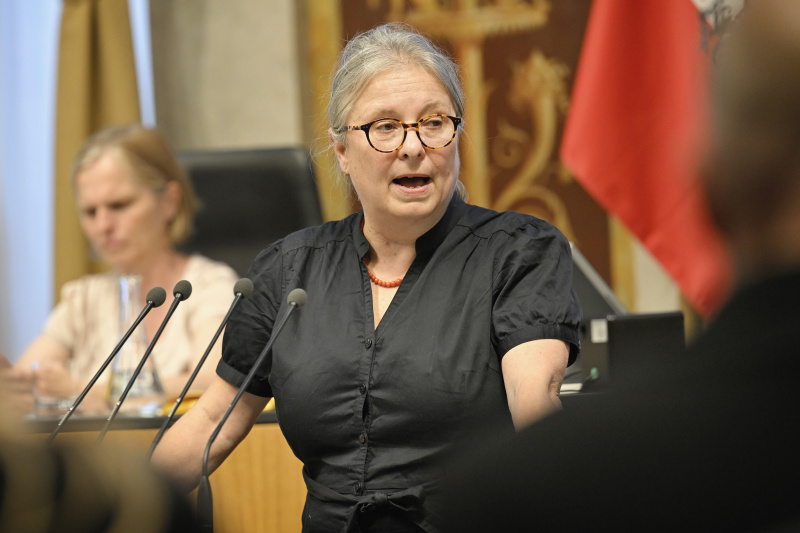 Am Redner:innenpult: Bundesrätin Bettina Lancaster (SPÖ)