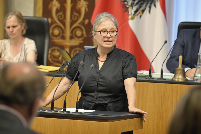 Am Redner:innenpult: Bundesrätin Bettina Lancaster (SPÖ)