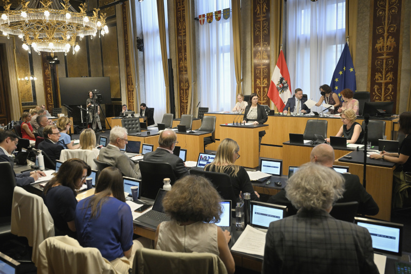 Am Redner:innenpult: Bundesrätin Manuela-Anna Sumah-Vospernik (NEOS). Am Präsidium Bundesratspräsident Franz Ebner (ÖVP). Auf der Regierungsbank Klimaministerin Leonore Gewessler (GRÜNE). Blick Richtung Sitzungsteilnehmer:innen