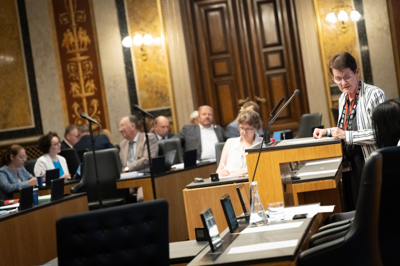 Am Redner:innenpult Bundesrätin Elisabeth Grimling (SPÖ)