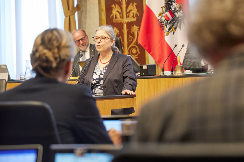 Am Redner:innenpult Bundesrätin Bettina Lancaster (SPÖ)