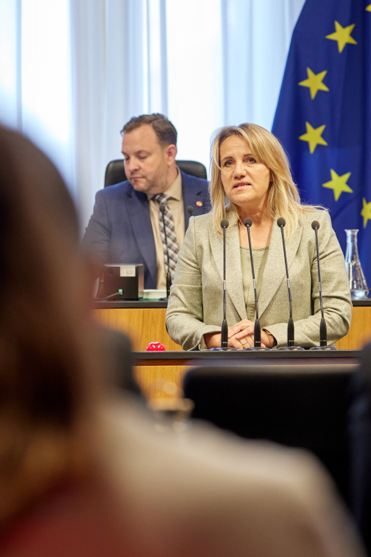 Am Redner:innenpult Bundesrätin Johanna Miesenberger (ÖVP)