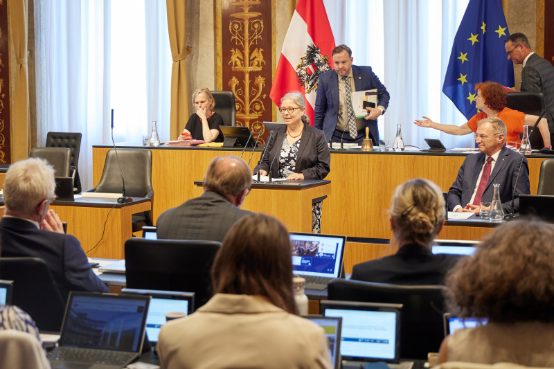 Am Redner:innenpult Bundesrätin Bettina Lancaster (SPÖ)