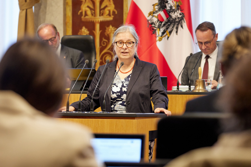 Am Redner:innenpult Bundesrätin Bettina Lancaster (SPÖ)