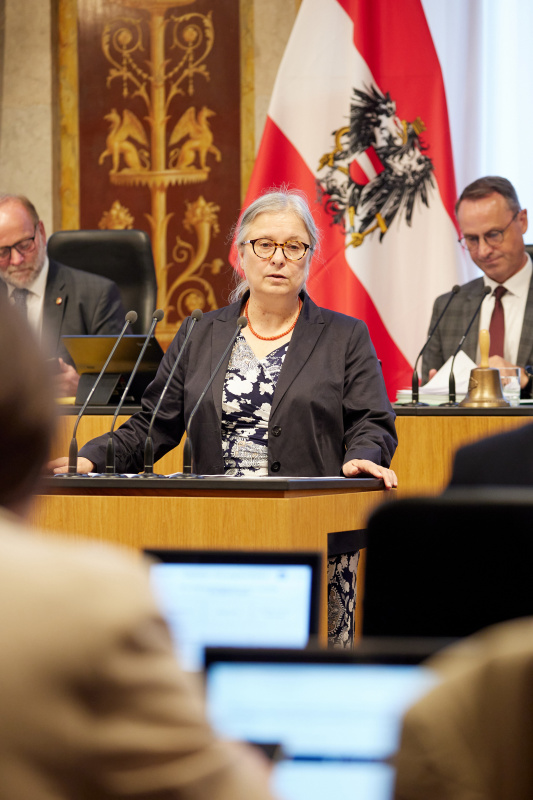 Am Redner:innenpult Bundesrätin Bettina Lancaster (SPÖ)