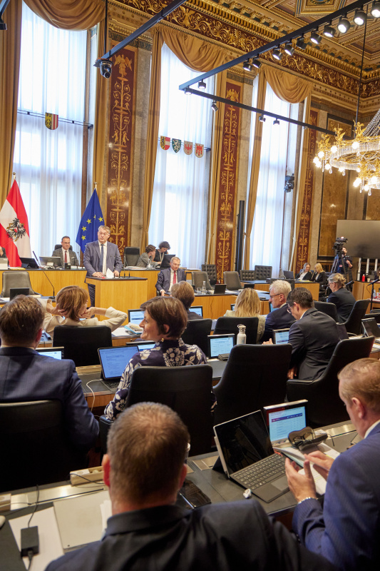 Am Redner:innenpult Bundesrat Markus Steinmaurer (FPÖ)