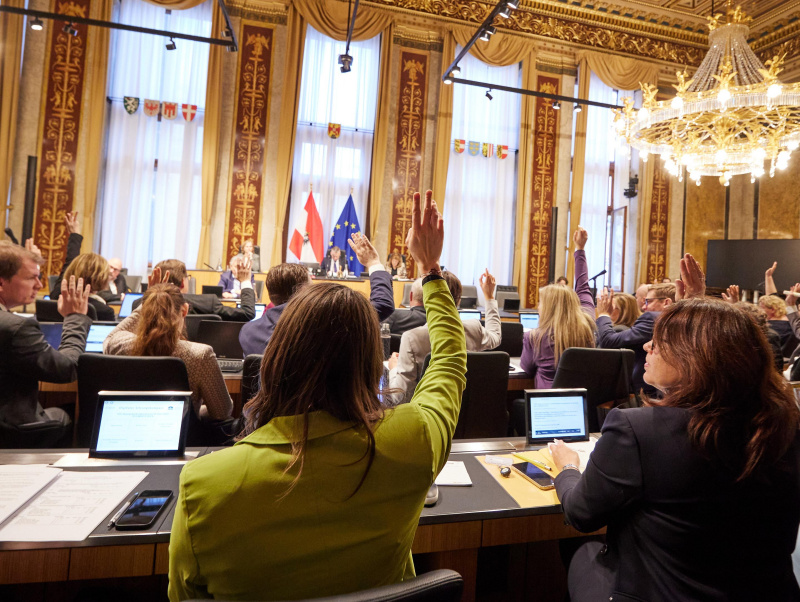 Abstimmung im Plenum