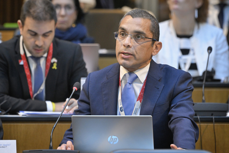 Participants' contributions to the discussion. Member of Cyprus Parliament Chrisis Pantelides