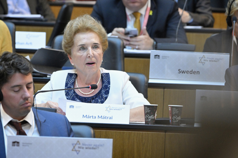 Participants' contributions to the discussion. Member of Hungarian Parliament Márta Mátrai