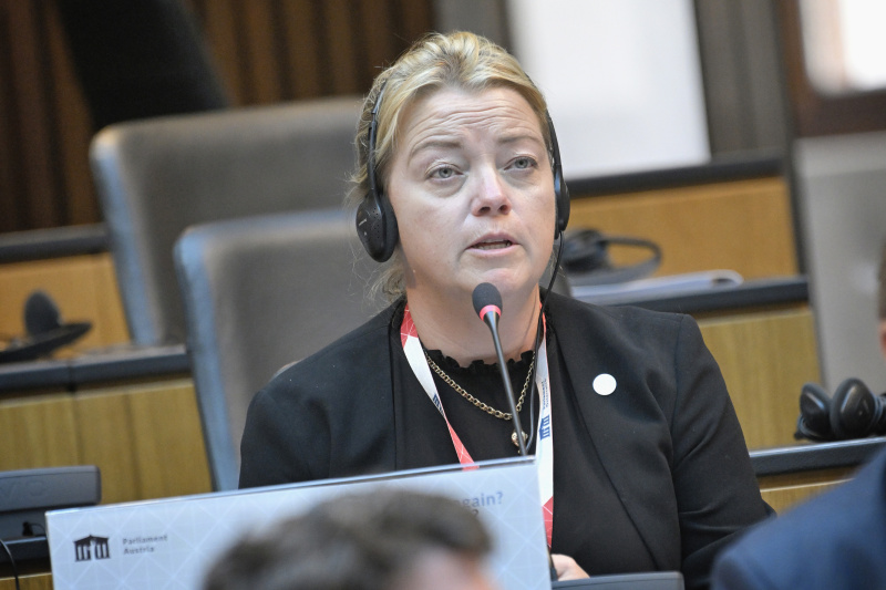 Participants' contributions to the discussion. Member of Swedish Parliament Alexandra Anstrell