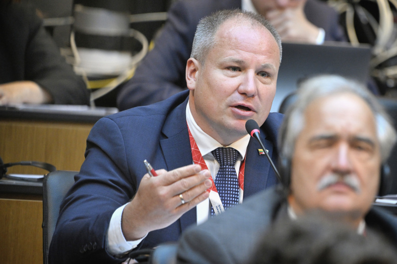 Participants' contributions to the discussion. Member of Lithuanian Parliament Giedrius Surplys