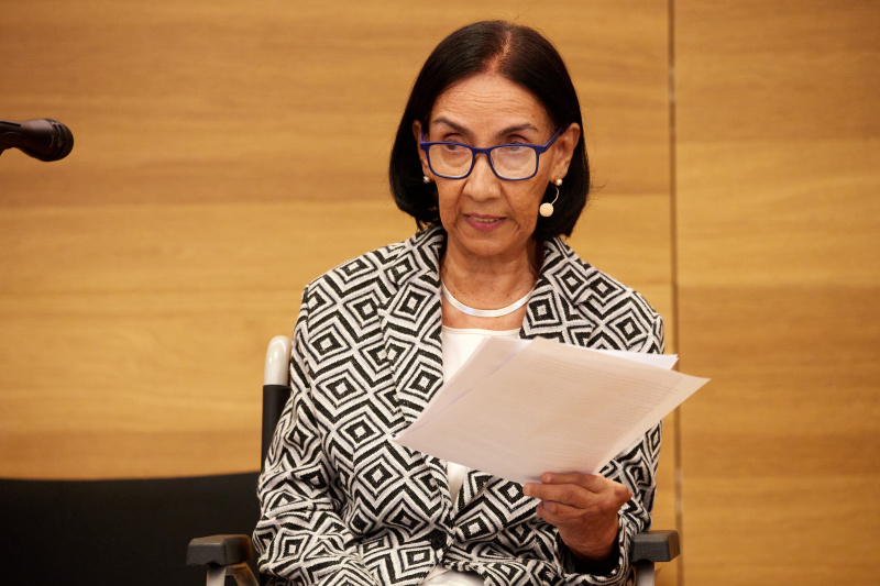 Keynote II Menschenrechte: Schwerpunkt Afghanistan. Fahima Safa, Vienna Process for a democratic Afghanistan