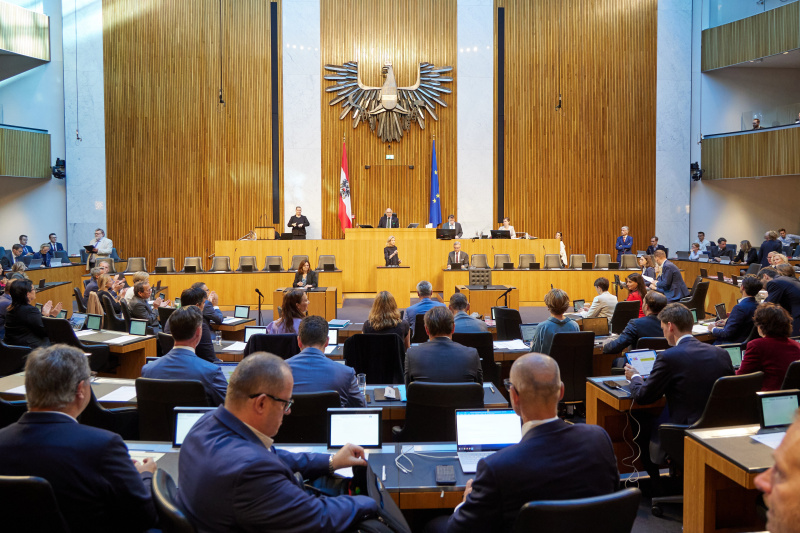 Am Redner:innenpult Klubobfrau Beate Meindl-Reisinger (NEOS)