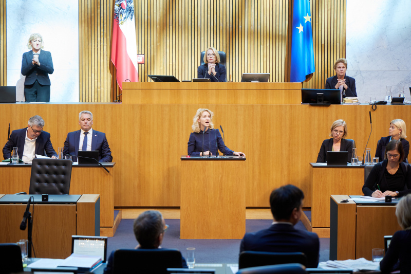 Am Redner:innenpult Nationalratsabgeordnete Eva Maria Holzleitner (SPÖ)