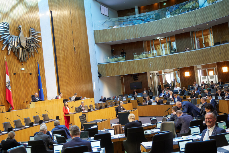 Am Redner:innenpult Nationalratsabgeordnete Meri Disoski (GRÜNE)