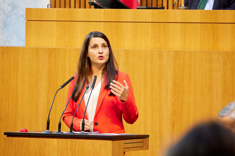 Am Redner:innenpult Nationalratsabgeordnete Meri Disoski (GRÜNE)