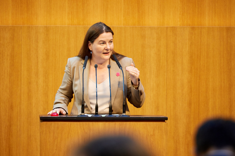 Am Redner:innenpult Nationalratsabgeordnete Karin Doppelbauer (NEOS)