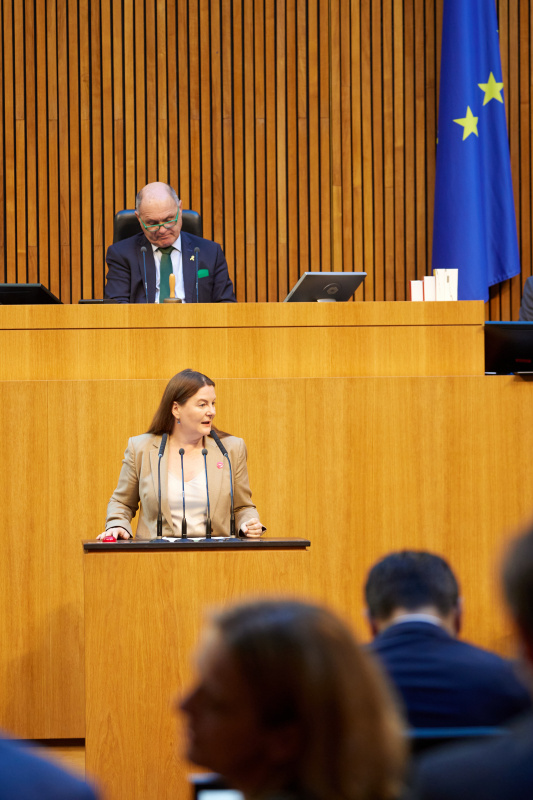 Am Redner:innenpult Nationalratsabgeordnete Karin Doppelbauer (NEOS)