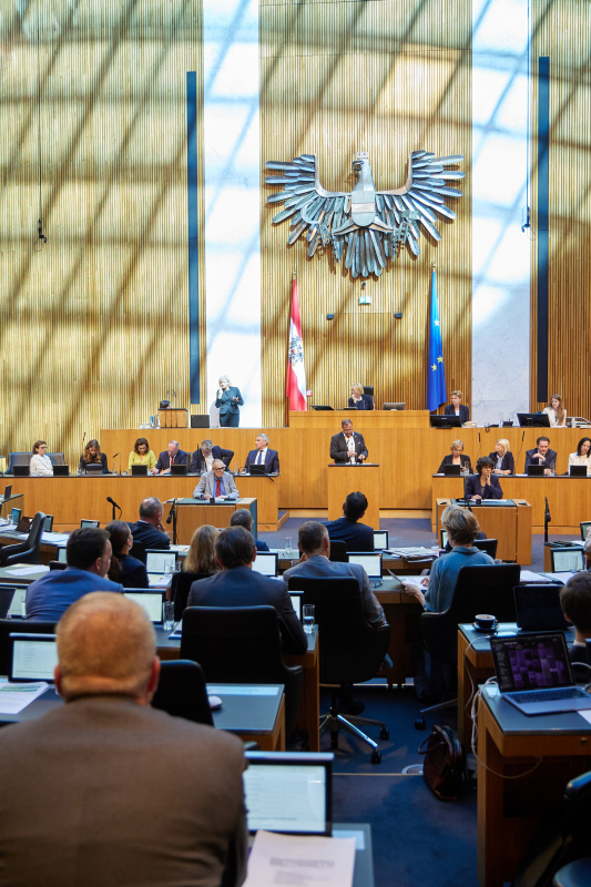 Am Redner:innenpult Nationalratsabgeordneter Christian Hafenecker (FPÖ)