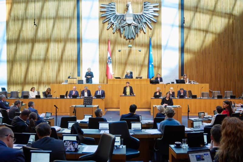 Am Redner:innenpult Nationalratsabgeordnete Astrid Rössler (GRÜNE)