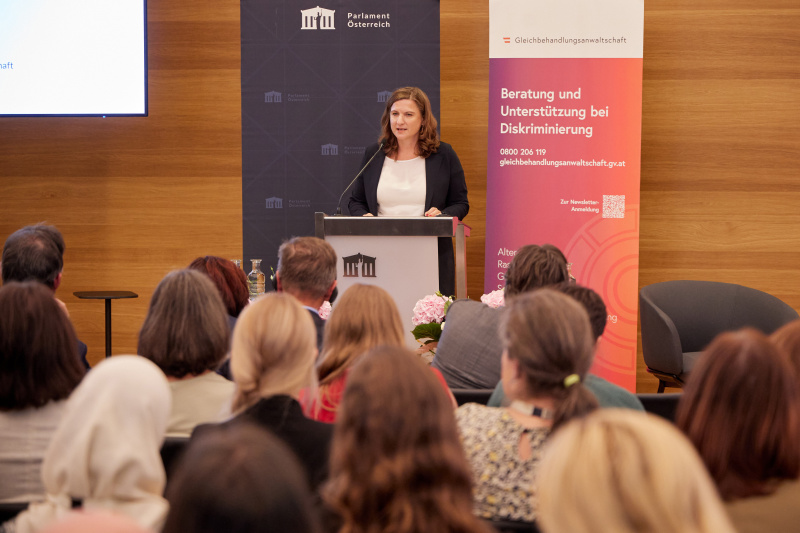 Block II: Die EU-Standards für Klagerechte und proaktive Arbeit. Reflexion: Innovative proaktive Arbeit und wirksame Klagerechte – Learnings für Gleichbehandlungsstellen. Leiterin der Gleichbehandlungsanwaltschaft Sandra Konstatzky