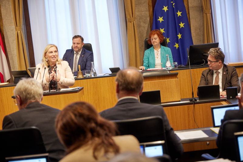 Am Redner:innenpult Bundesrätin Doris Hahn (SPÖ)