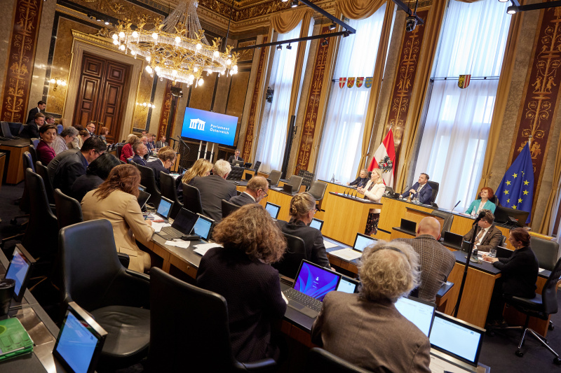 Am Redner:innenpult Bundesrätin Doris Hahn (SPÖ)
