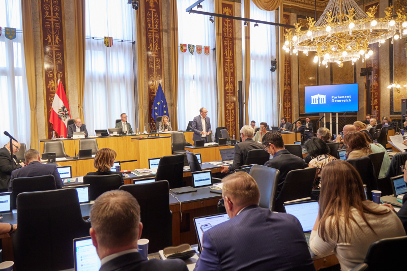 Rede. Gesundheitsminister Johannes Rauch (GRÜNE)