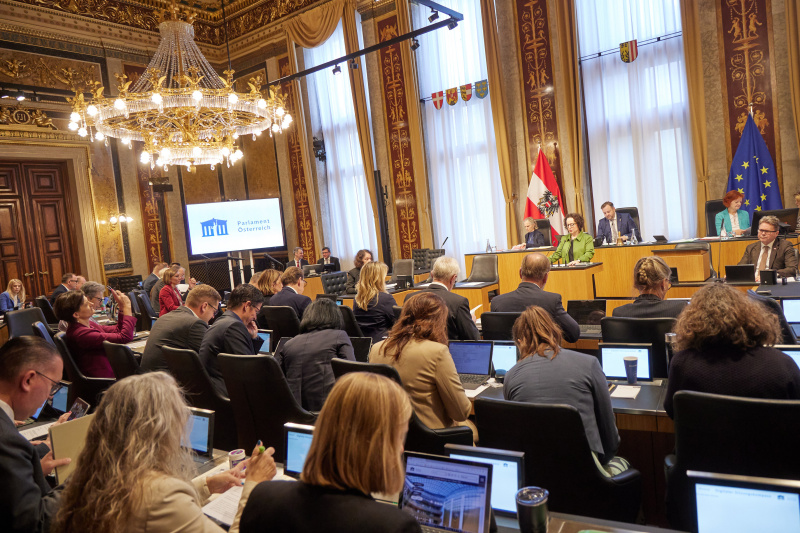 Am Redner:innenpult Bundesrätin Christine Schwarz-Fuchs (ÖVP)