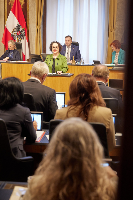 Am Redner:innenpult Bundesrätin Christine Schwarz-Fuchs (ÖVP)