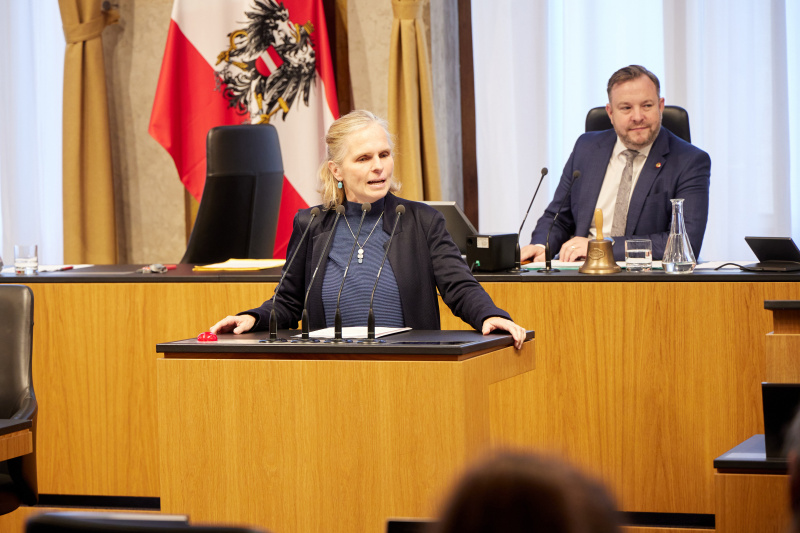 Am Redner:innenpult Bundesrätin Daniela Gruber-Pruner (SPÖ)