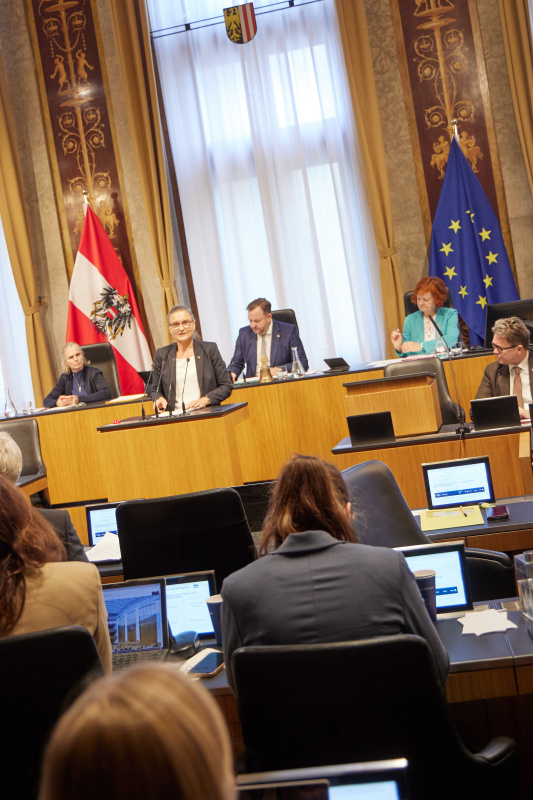 Am Redner:innenpult Bundesrätin Claudia Hauschildt-Buschberger (GRÜNE)