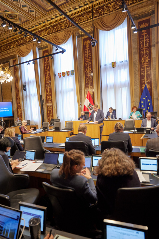 Am Redner:innenpult Bundesrat Markus Steinmaurer (FPÖ)