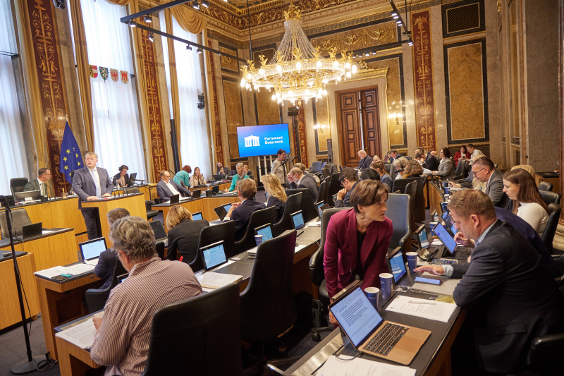 Am Redner:innenpult Bundesrat Markus Steinmaurer (FPÖ)