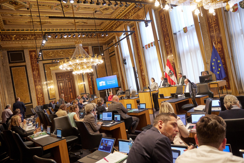 Am Redner:innenpult Bundesrätin Manuela-Anna Sumah-Vospernik (NEOS)