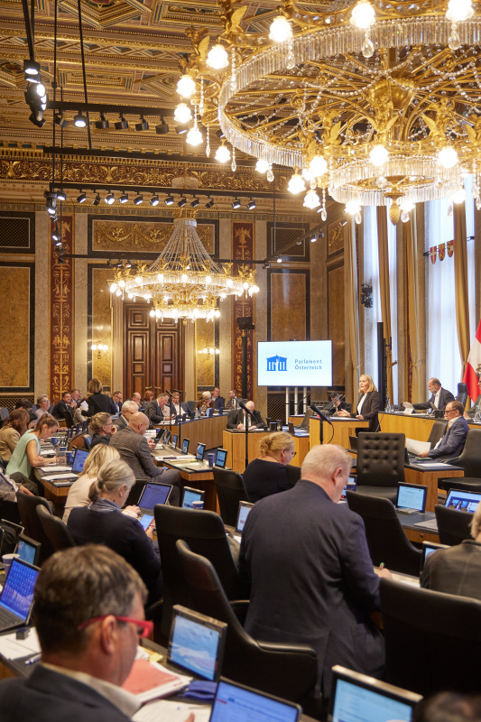 Am Redner:innenpult Bundesrätin Maria Huber (GRÜNE)