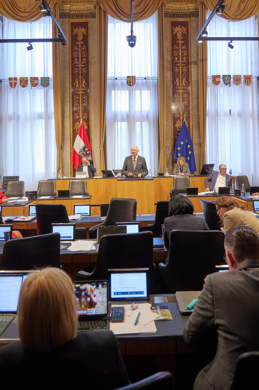 Am Redner:innenpult Bundesrat Manfred Mertel (SPÖ)