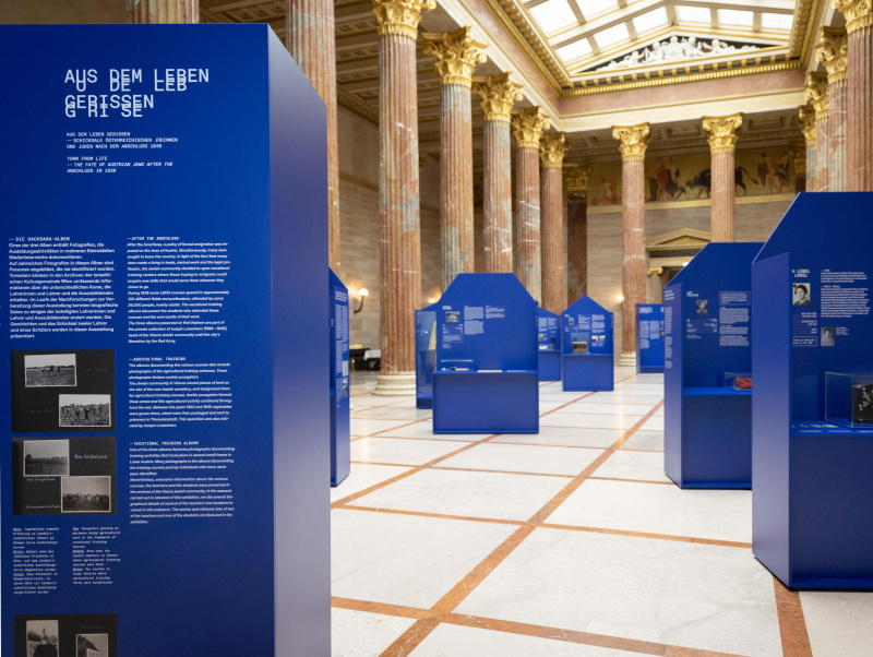 Impression of the exhibition