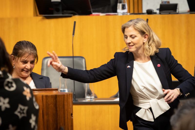 Stimmabgabe: Klubobfrau Beate Meinl-Reisinger (NEOS)