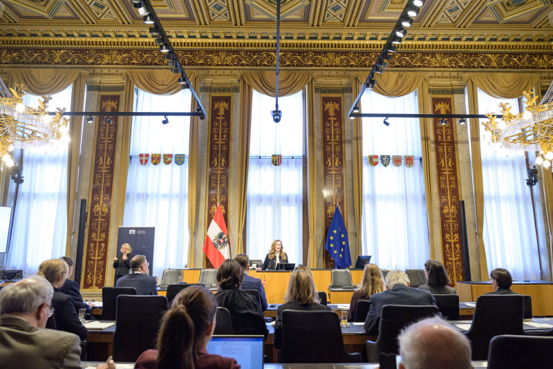 Am Redner:innenpult: Staatssekretärin für Digitalisierung, Jugend und Zivildienst Claudia Plakolm (ÖVP)