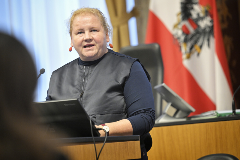 Stellungnahmen der Fraktionsvorsitzenden des Bundesrates. Bundesrätin Korinna Schumann (SPÖ)