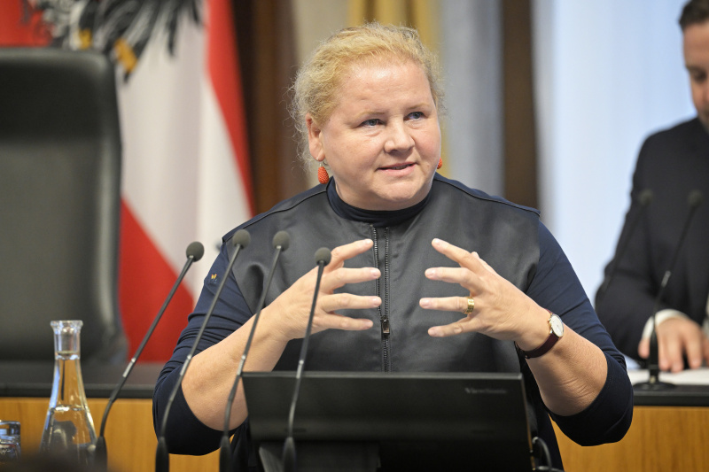 Stellungnahmen der Fraktionsvorsitzenden des Bundesrates. Bundesrätin Korinna Schumann (SPÖ)