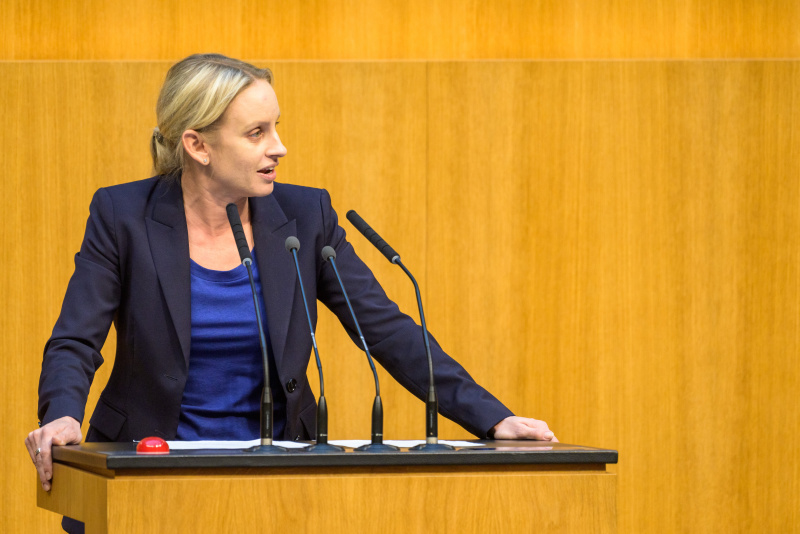 Am Redner:innenpult: Nationalratsabgeordnete Michaela Schmidt (SPÖ)