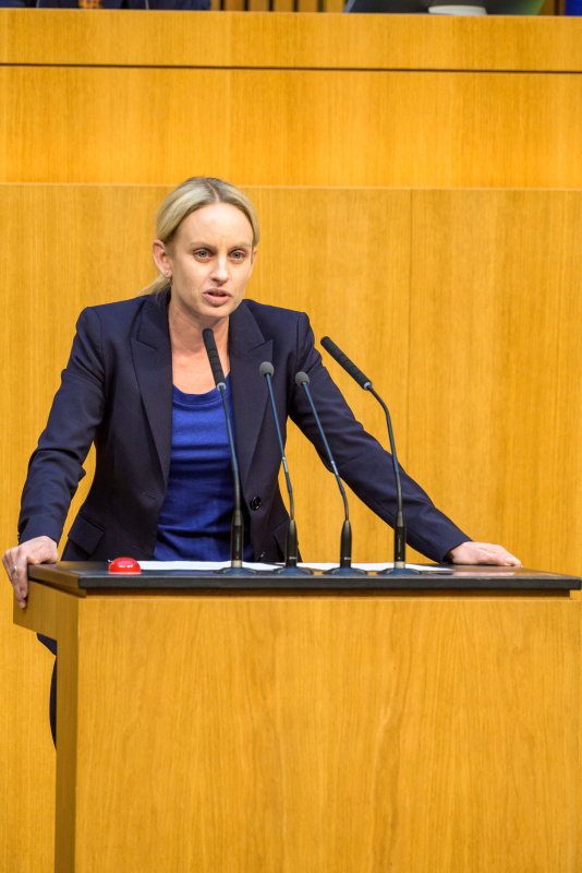Am Redner:innenpult: Nationalratsabgeordnete Michaela Schmidt (SPÖ)