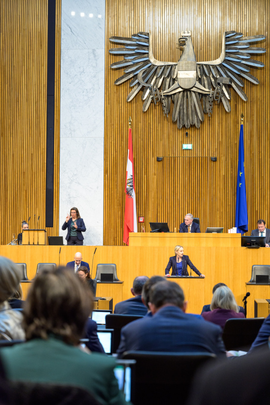 Am Redner:innenpult: Nationalratsabgeordnete Michaela Schmidt (SPÖ)