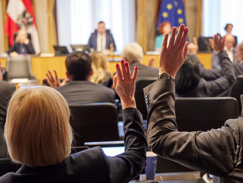 Abstimmung im Plenum durch Hand heben