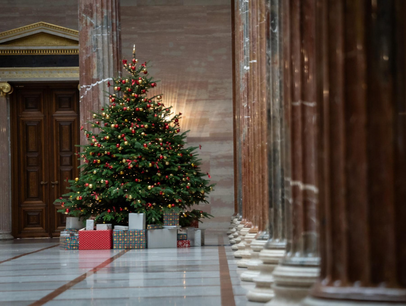 Weihnachtsbaum in der Säulenhalle