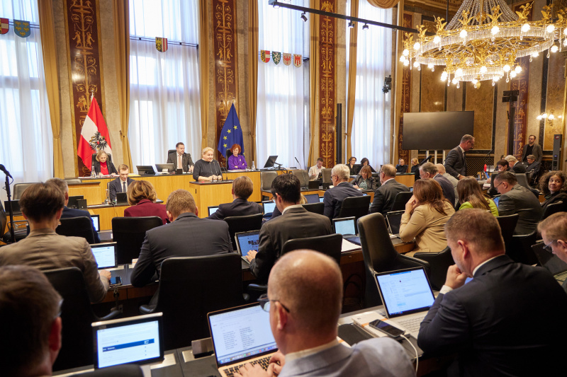 Am Redner:innenpult Vorsitzende der Bundesratsfraktion Korinna Schumann (SPÖ)